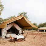 Luxury Safari tent camp in Serengeti Savanna forest – Glamping t