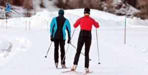 Cross Country Ski, Ski De Fond, Hiver, La Neige, Sport